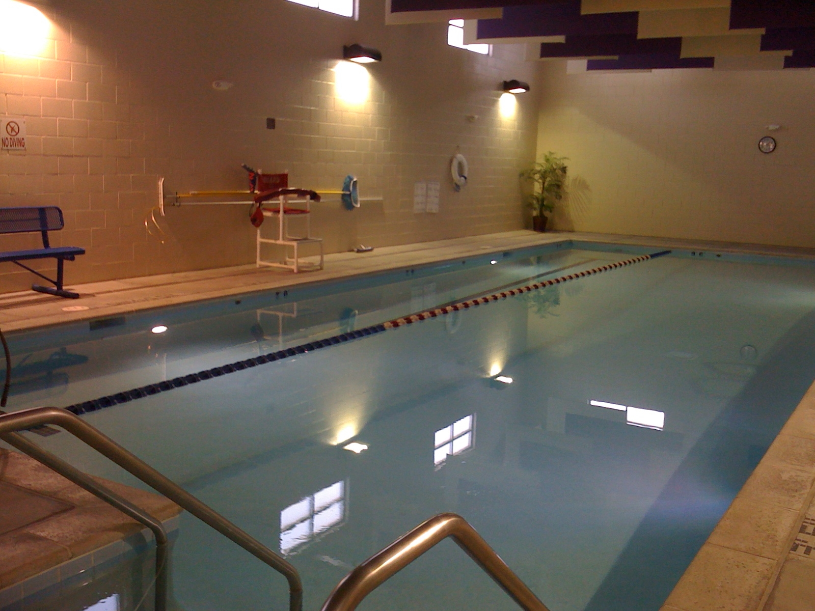 aquatics-west-flamingo